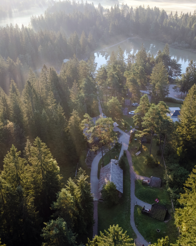 Untitled design - 2023-11-16T233805.212