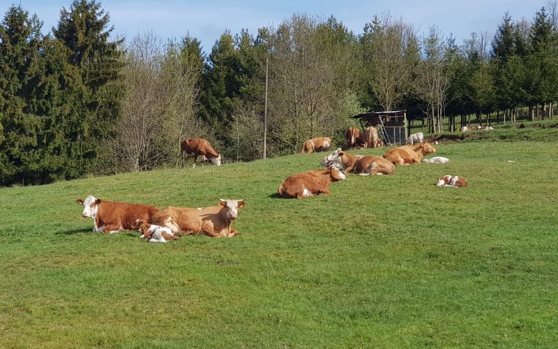 20200430_093609-scaled